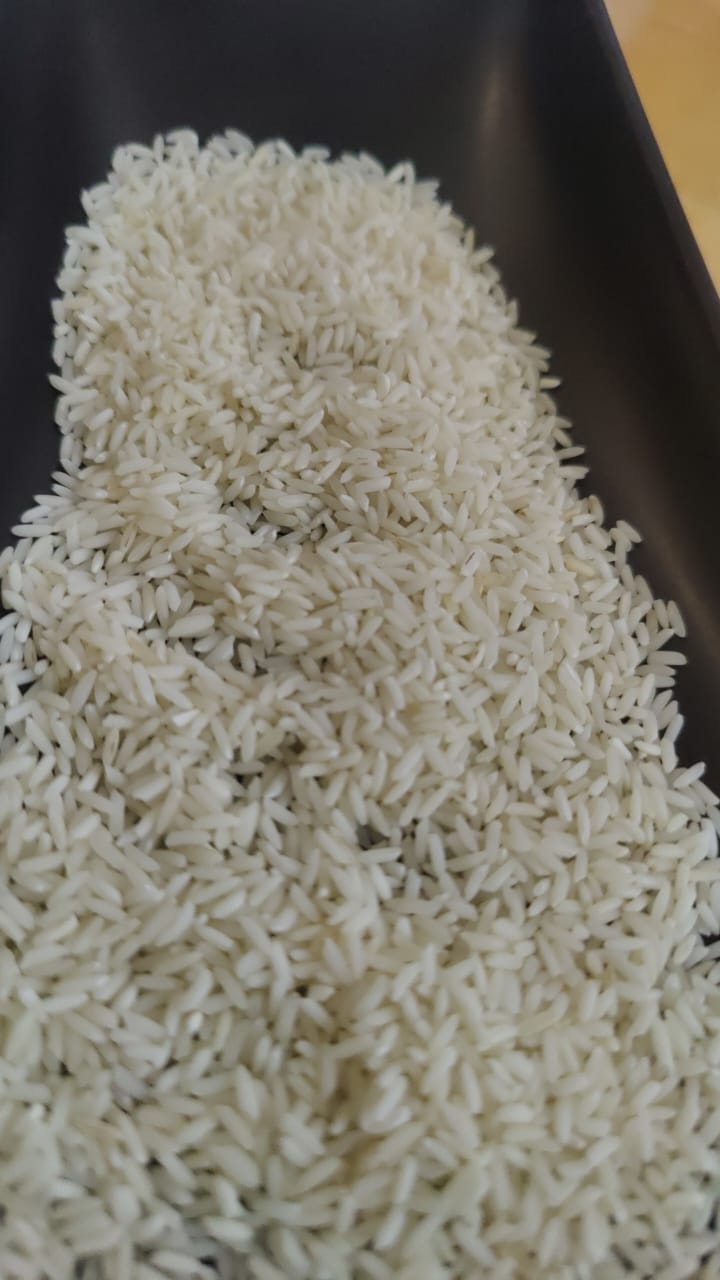 WhatsApp Image 2025-07-10 at 10.43.53 AM.jpeg